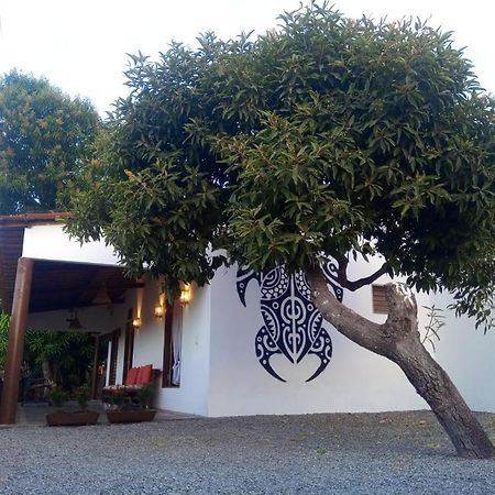 Recanto Do Meu Bem Jijoca de Jericoacoara Eksteriør bilde
