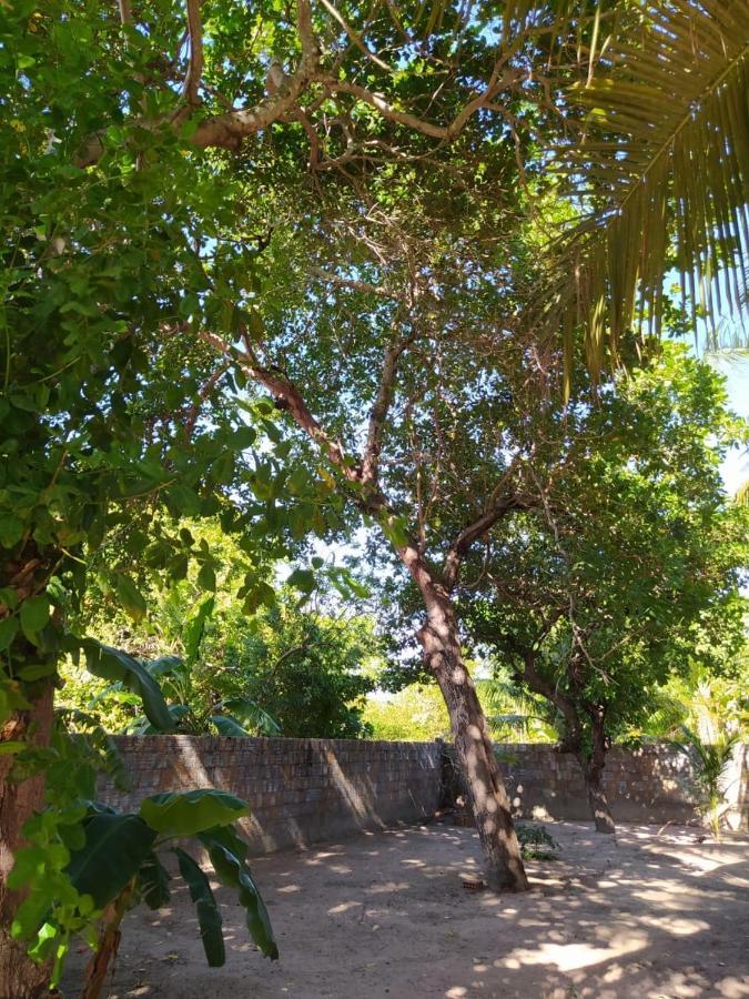 Recanto Do Meu Bem Jijoca de Jericoacoara Eksteriør bilde